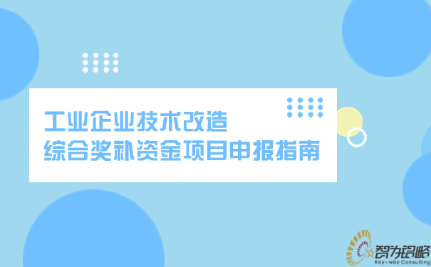 工業(yè)企業(yè)技術(shù)改造綜合獎(jiǎng)補(bǔ)資金項(xiàng)目申報(bào)指南.jpg